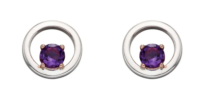 Silver Amethyst Earrings. February Birthstone